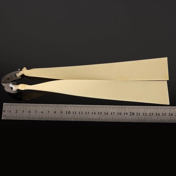 Hunting tournament slingshot accessories: 2mm flat rubber band. - Image 3